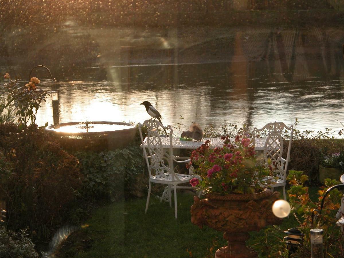 Bed and Breakfast Chiswick Riviera With Free Parking Лондон Екстер'єр фото